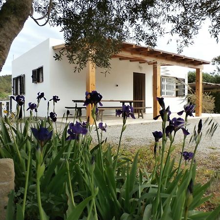 אס קובייס Sa Vinya Casa De Campo מראה חיצוני תמונה